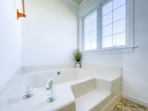60 Dabneys Rd, Raphine, VA 24472 photo 27