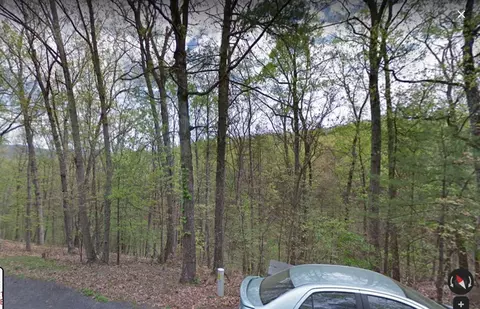 tbd Lerner Ln, Basye, VA 22810