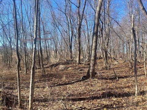 Pleasant Valley Rd, Raphine, VA 24472 photo 3