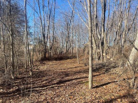 Pleasant Valley Rd, Raphine, VA 24472 photo 2