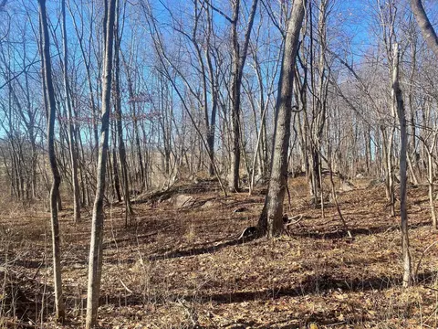 Pleasant Valley Rd, Raphine, VA 24472 photo 3