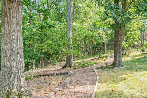 60 E Roman Ridge Rd, Mount Sidney, VA 24467 photo 57