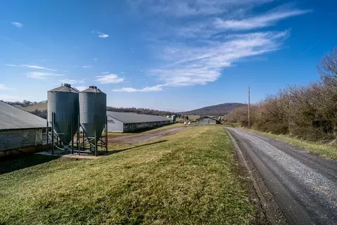 2130 Wissler Rd, Mount Jackson, VA 22842 photo 19