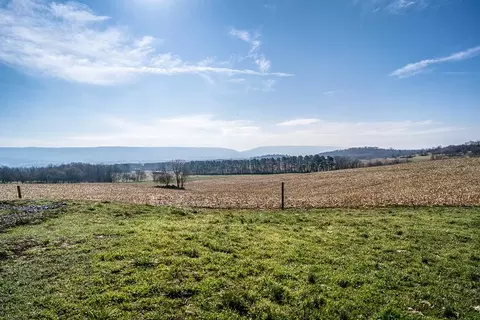 2130 Wissler Rd, Mount Jackson, VA 22842 photo 13