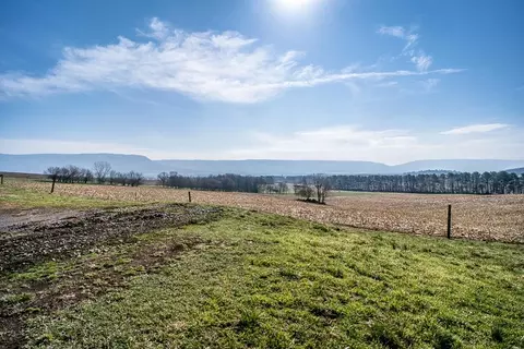 2130 Wissler Rd, Mount Jackson, VA 22842 photo 14