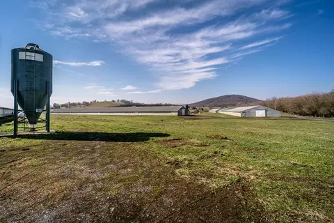 2130 Wissler Rd, Mount Jackson, VA 22842 photo 9