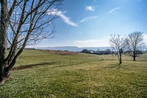 2130 Wissler Rd, Mount Jackson, VA 22842 photo 33