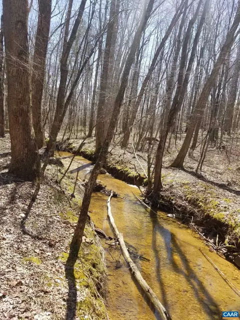 lot13 Forest Glen Ln, Palmyra, VA 22963 photo 4