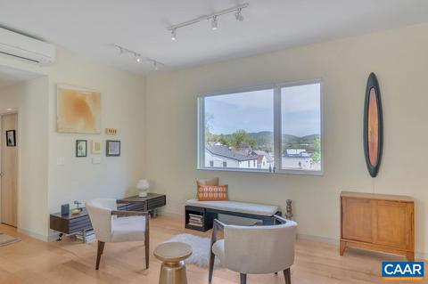 1130 E High St #K, Charlottesville, VA 22902 photo 10