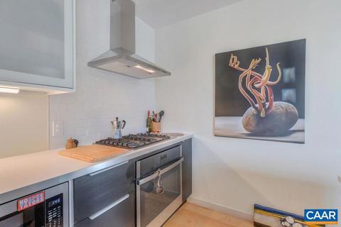 1130 E High St #K, Charlottesville, VA 22902 photo 14
