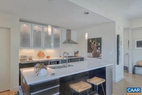 1130 E High St #K, Charlottesville, VA 22902 photo 12