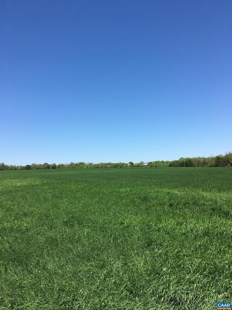 Rapidan Rd, Mitchells, VA 22729 photo 3
