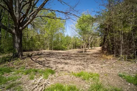 069 A21 17 Mikes Knob Ln, Waynesboro, VA 22980