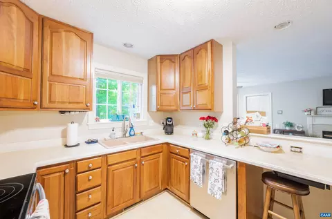 4 Ashcake Ter, Palmyra, VA 22963 photo 9