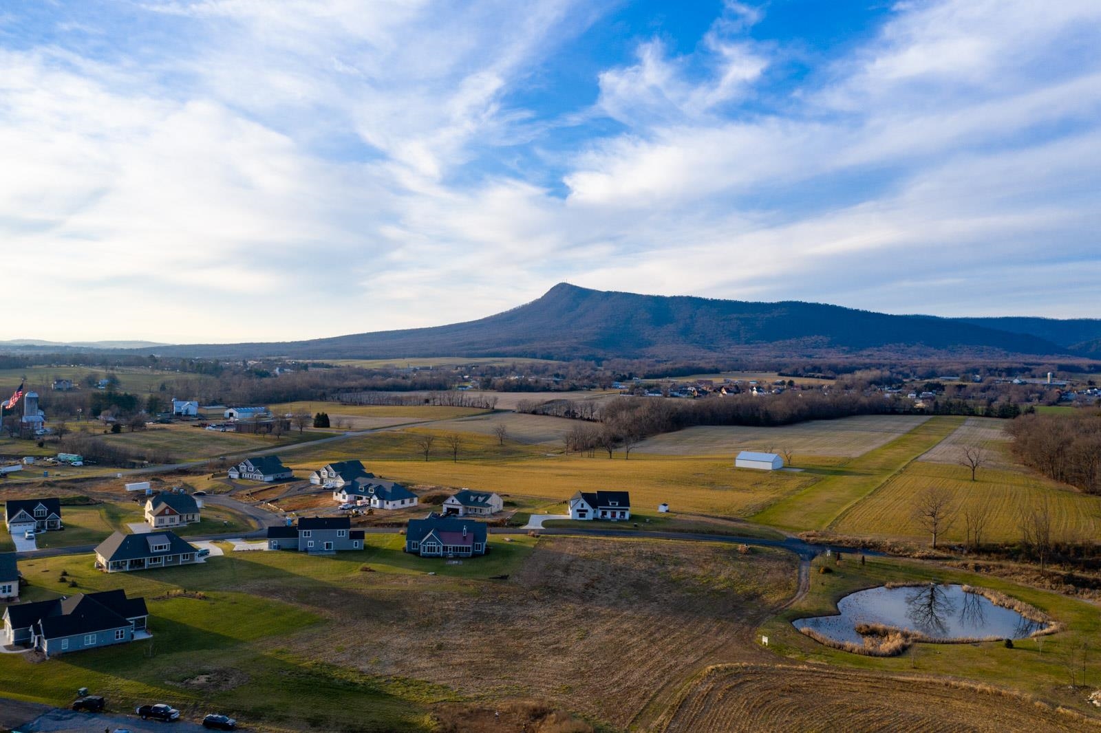 Lot-87 Dalmatian Dr