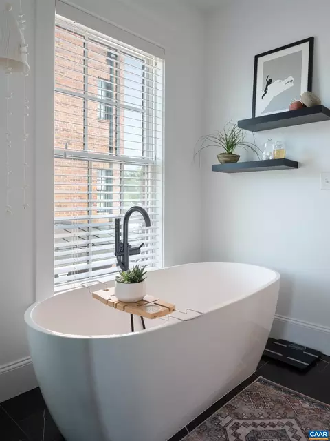 1061 E Water St, Charlottesville, VA 22902 photo 17