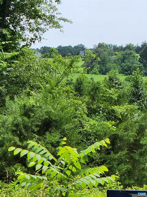 6 Welsh Run Road, Ruckersville, VA 22968