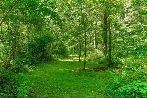 17841 Sun Valley Dr, Elkton, VA 22827 photo 6