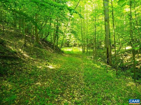 1252 Howell Dr, Thaxton, VA 24174 photo 5