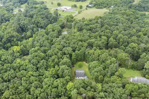 2552 Cave Ridge Rd, Mount Jackson, VA 22842 photo 49