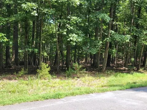 13 Long Leaf Ln, Palmyra, VA 22963 photo 2