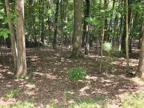 13 Long Leaf Ln, Palmyra, VA 22963 photo 3