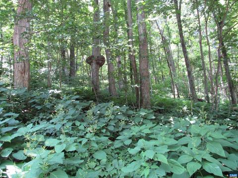 73 Hanging Rock Ln #111 CHESTNUT SPRINGS, Wintergreen Resort, VA 22967