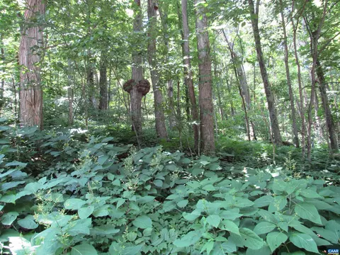 73 Hanging Rock Ln, Wintergreen Resort, VA 22967