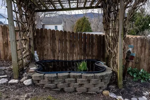 113 N Second St N, Shenandoah, VA 22849 photo 59