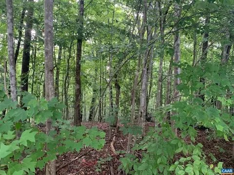 20 Riverside Dr, Palmyra, VA 22963 photo 1