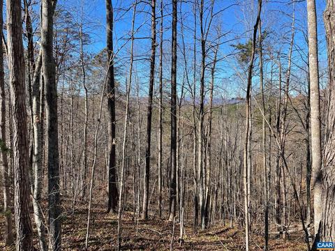 Starvale Ln, Shipman, VA 22971 photo 27