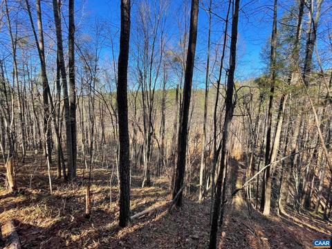 Starvale Ln, Shipman, VA 22971 photo 7