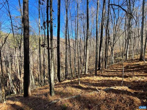 Starvale Ln, Shipman, VA 22971 photo 39