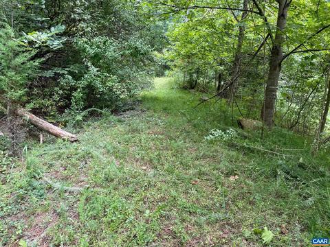 Starvale Ln, Shipman, VA 22971 photo 13