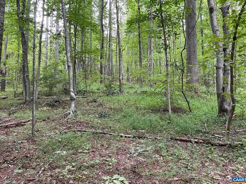 Starvale Ln, Shipman, VA 22971 photo 30