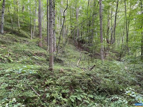 Starvale Ln, Shipman, VA 22971 photo 25