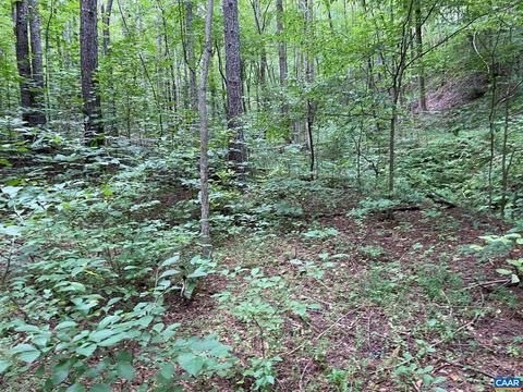 Starvale Ln, Shipman, VA 22971 photo 23