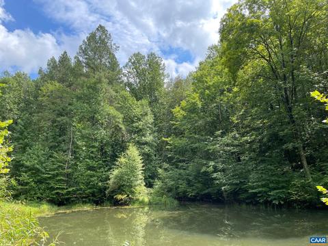 Starvale Ln, Shipman, VA 22971 photo 5