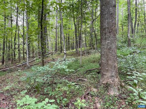 Starvale Ln, Shipman, VA 22971 photo 21