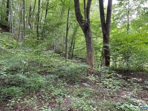 Starvale Ln, Shipman, VA 22971 photo 28