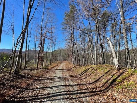 Starvale Ln, Shipman, VA 22971 photo 8