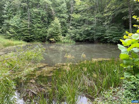 Starvale Ln, Shipman, VA 22971 photo 19