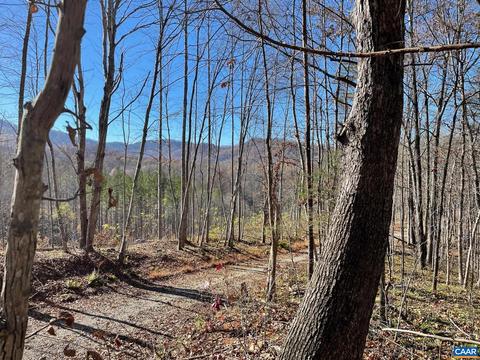 Starvale Ln, Shipman, VA 22971 photo 9