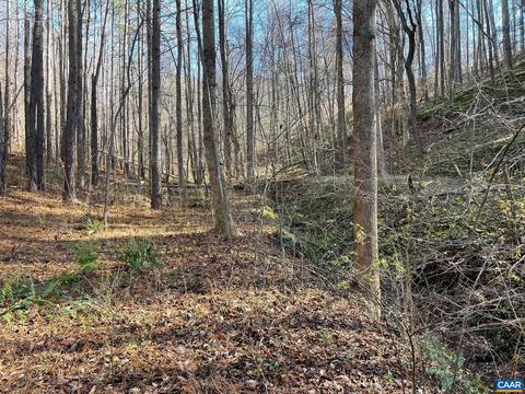 Starvale Ln, Shipman, VA 22971 photo 35