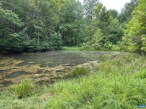 Starvale Ln, Shipman, VA 22971 photo 33