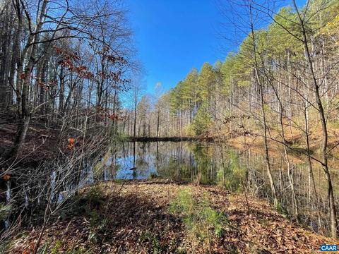 Starvale Ln, Shipman, VA 22971 photo 40