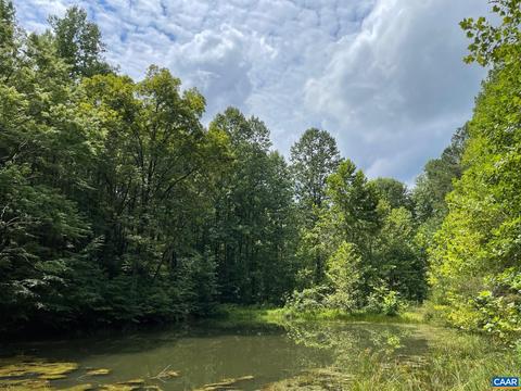 Starvale Ln, Shipman, VA 22971 photo 4