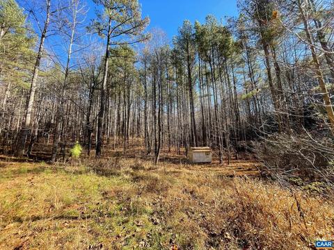 Starvale Ln, Shipman, VA 22971 photo 26