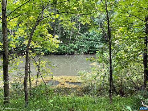 Starvale Ln, Shipman, VA 22971 photo 18