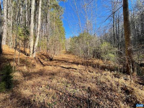 Starvale Ln, Shipman, VA 22971 photo 14